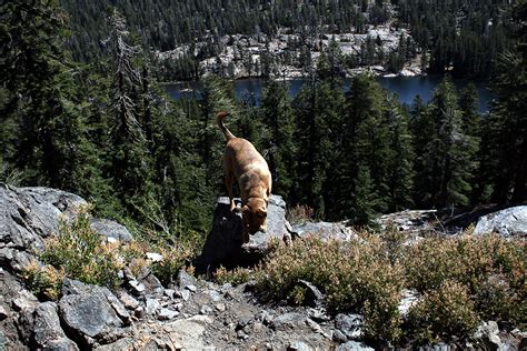 Hiking Fishing and Camping at Woods Lake