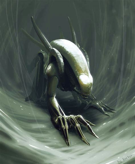 Xenomorph | Predator alien, Alien artwork, Alien art