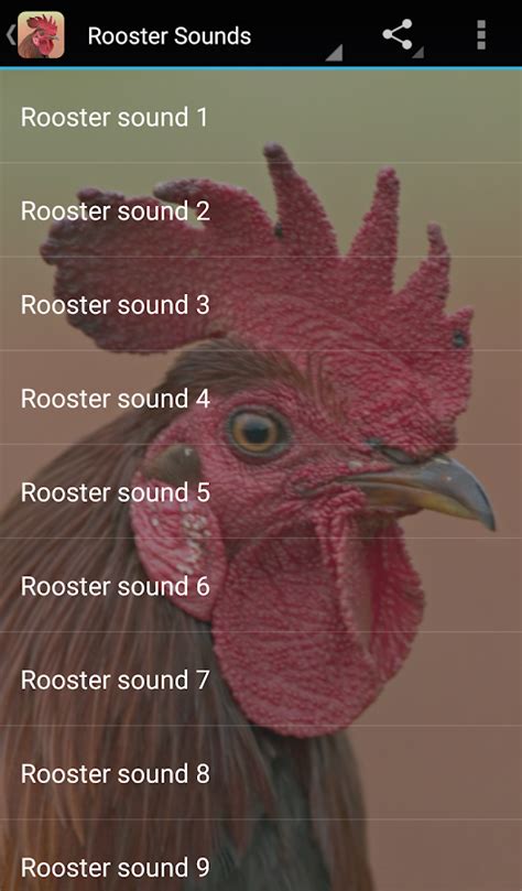 Rooster Sounds - Android Apps on Google Play