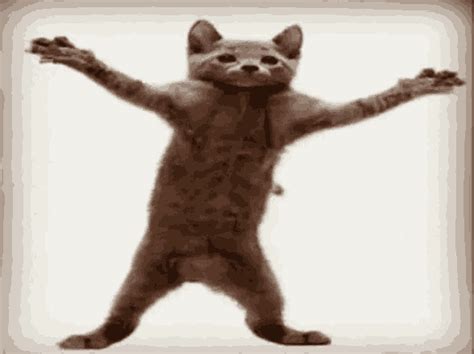 Happy Dance GIF - Happy Dance Cat - 探索與分享 GIF