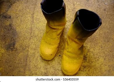 Construction Painter Safety Boot Stock Photo 536403568 | Shutterstock