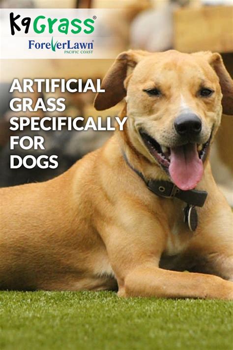 K9Grass, the artificial grass designed specifically for dogs, is a cleaner, safer and better ...