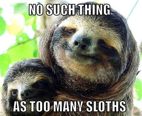 1000+ images about Anti-Capital Mascot SLOTHS on Pinterest | A sloth, Sloth tattoo and Sloths