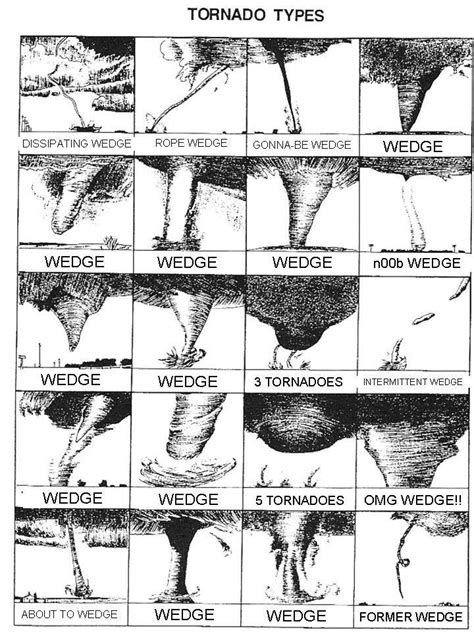 To wedge or not to wedge? Tornado types include many shapes and sizes. | Tornadoes, Tornado ...