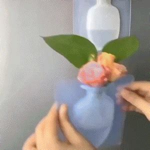 agic Silicone Sticky Flower Vase – TOTT