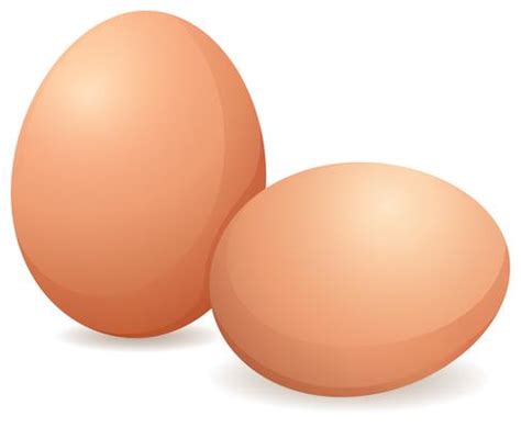 Egg Free Vector Art - (11,942 Free Downloads)