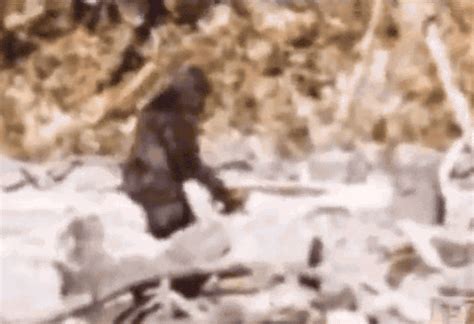 Bigfoot Sasquatch GIF by MOODMAN - Find & Share on GIPHY