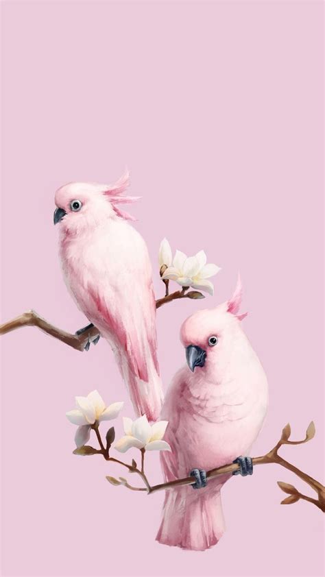 two pink birds sitting on top of a branch with flowers in front of a pink background