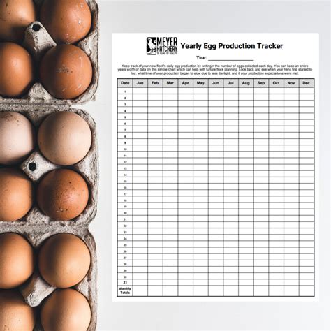 Yearly Egg Production Tracker | Meyer Hatchery Blog