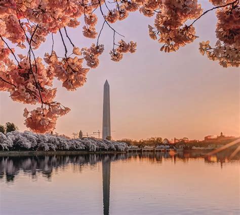 Washington, DC Events | Washington DC | DC Events Calendar