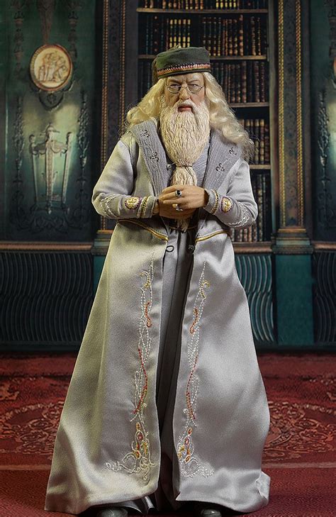 Dumbledore (Michael Gambon) Harry Potter 1/6th action figure | Harry potter, Michael gambon ...