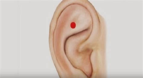 Massaging This Point On The Ear Boosts Health And Relieves Stress