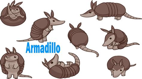 Armadillo Drawing at PaintingValley.com | Explore collection of ...