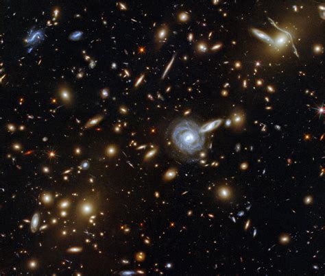 A Menagerie of Galaxies: Hubble Captures a Cluster With Galaxies of All ...