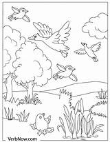 Free Bird Coloring Pages For Download PDF  VerbNow sketch template