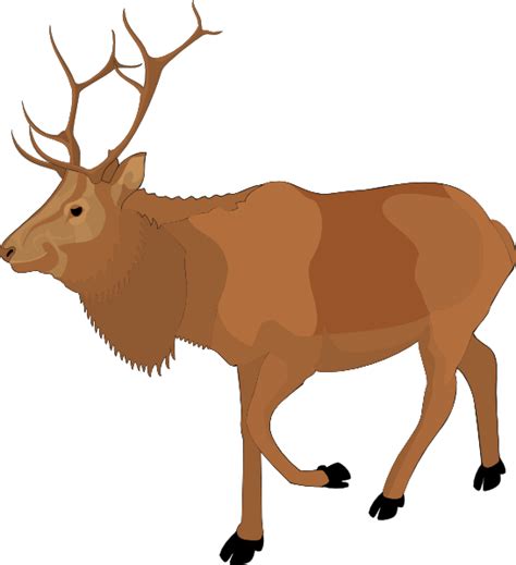 yellowstone national park wildlife - Clip Art Library - Clip Art Library