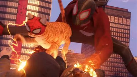 Miles Morales Has a Spider-Cat Friend in the New Video Game - Nerdist