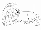 Free Printable Lion Coloring Pages At GetColoringscom  sketch template