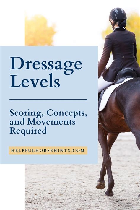 Dressage Levels Explained - Beginner Tips & Tricks + Practice Routines - Helpful Horse Hints