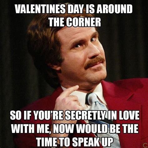 Pin by 𝒸𝑜𝒸𝑜୨୧ on I Heart Valentine's Day | Funny quotes, Funny valentine memes, Valentines memes