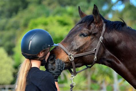 Dog kissing dog stock image. Image of cute, females, afghan - 2251073