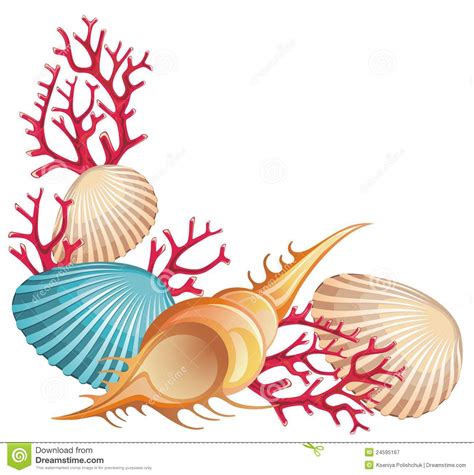 Seashells clipart 20 free Cliparts | Download images on Clipground 2024