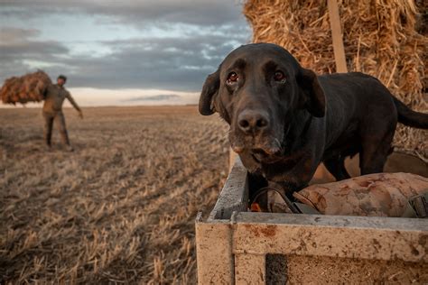 The Essential Duck Hunting Gear: A Complete Checklist