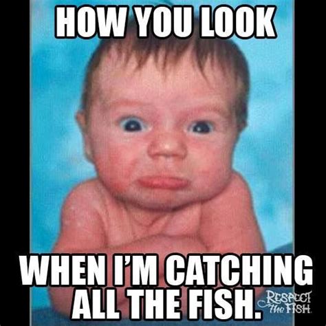 Pin by Sherri DeAngelo on Life on the Water | Funny fishing memes, Fishing memes, Walleye fishing