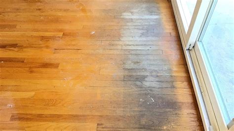 Hardwood Floor Repair Water Damage - Damage Choices