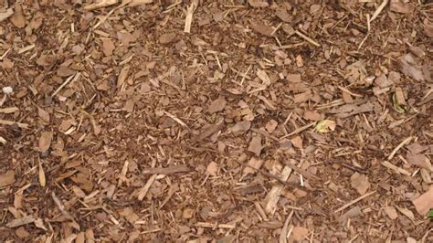 Why Do Mulch Piles Catch Fire? - Little Leafy