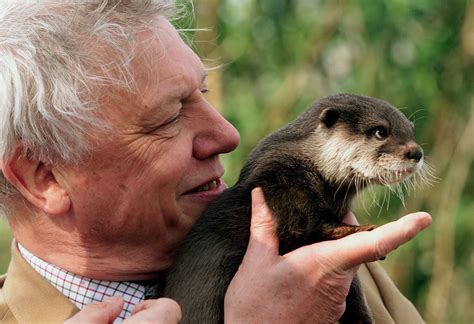 David Attenborough Animals - Sir David Attenborough Tells You How You ...