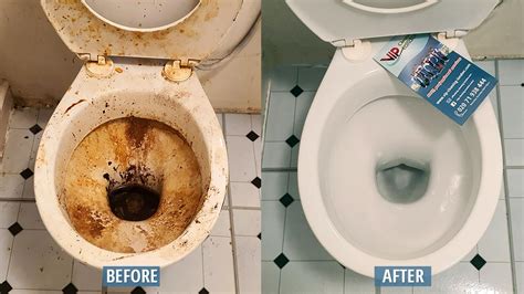 Cleaning toilet – Telegraph