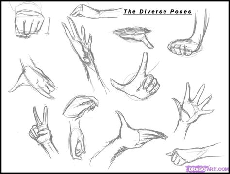 Hands Reference Drawing at GetDrawings | Free download