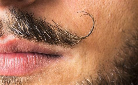 5 Simple Steps on How to Trim Mustache Quickly (Expert Tips)