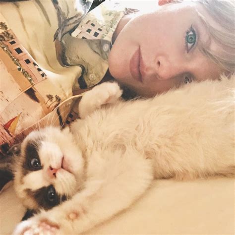 And Then There Were Three from Taylor Swift's Cutest Cat Photos | E! News