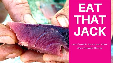 Jack Crevalle Catch and Cook | Jack Crevalle Recipe - YouTube