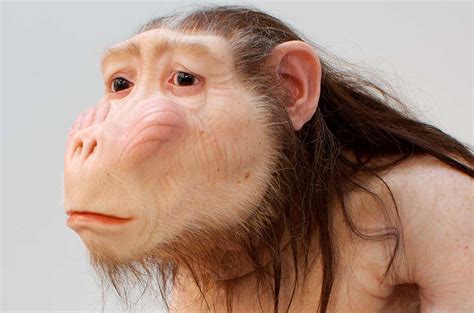 Patricia Piccinini's Instagram, Twitter & Facebook on IDCrawl