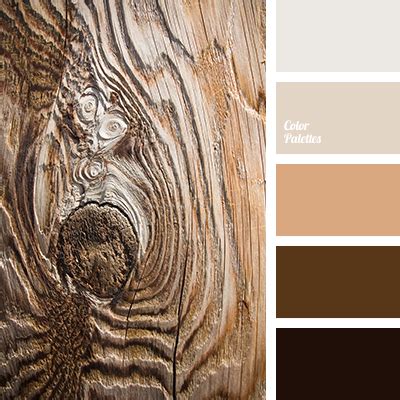 color cocoa | Color Palette Ideas