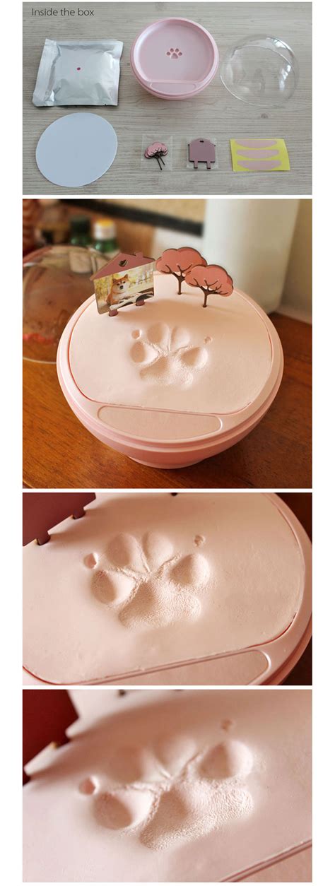 DIY Dog Paw Print Keepsake - ApolloBox