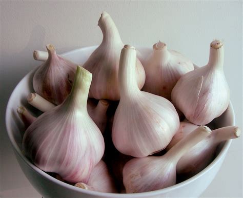 garlic-bowl | Isabel Eyre | Flickr