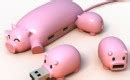 Pig Buddies usb-sticks en -hub - Freshgadgets.nl