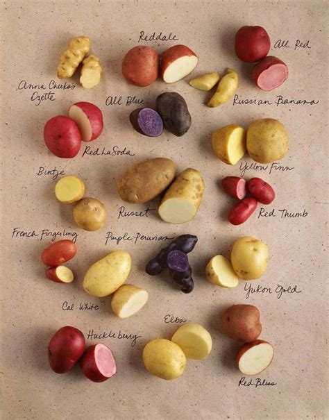 Types of Potatoes Grow Potatoes In Container, Planting Potatoes, Growing Potatoes, Fruit And Veg ...