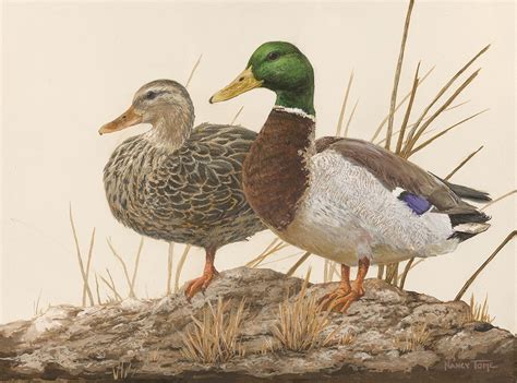 Riverbank Mallards | Wildlife art, Acrylic painting canvas, Art drawings sketches creative