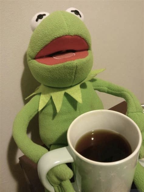 Funny Kermit Memes, Cute Memes, Kermit Gif, Sapo Kermit, Reaction ...