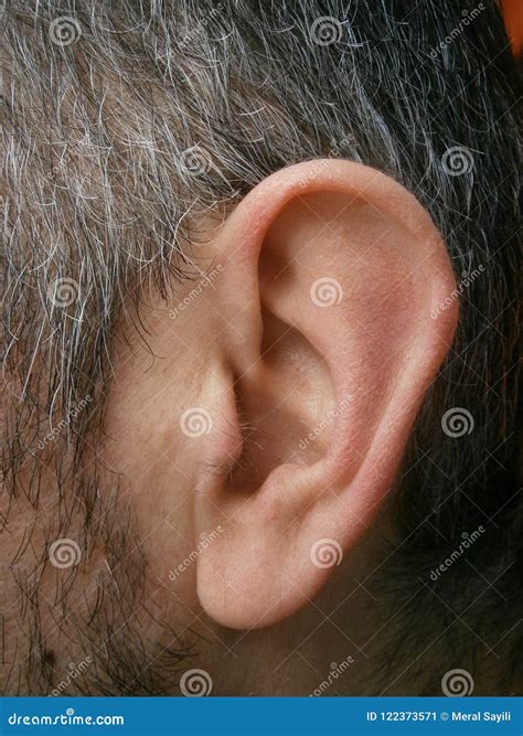 Healthy Side View of the Ear Stock Image - Image of body, glasses ...