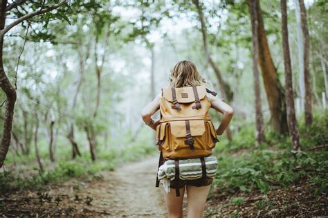 Wallpaper : trees, forest, people, women, jungle, path, spring, hiking, season, screenshot ...