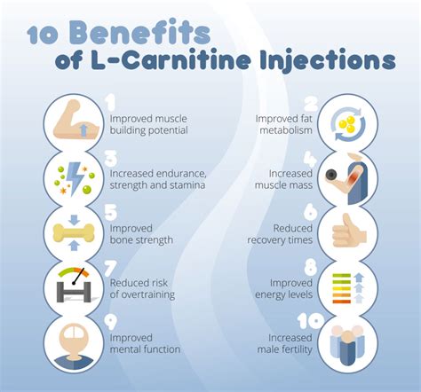 L-Carnitine and The Wonderful Benefits It Has To Offer You - Thailand ...