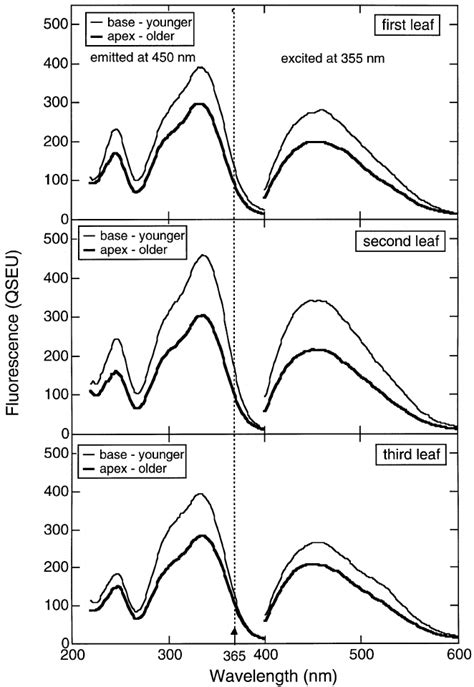 Excitation (emission at 450 nm) and emission (excitation at 355 nm ...