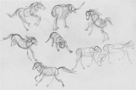 animal gesture drawing - Google Search | Drawings, Gesture drawing, Animal drawings