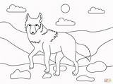 Coyote Coloring Page  Free Printable Coloring Pages sketch template